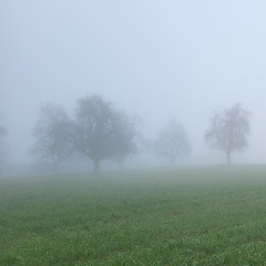 Ambiente/Experimental