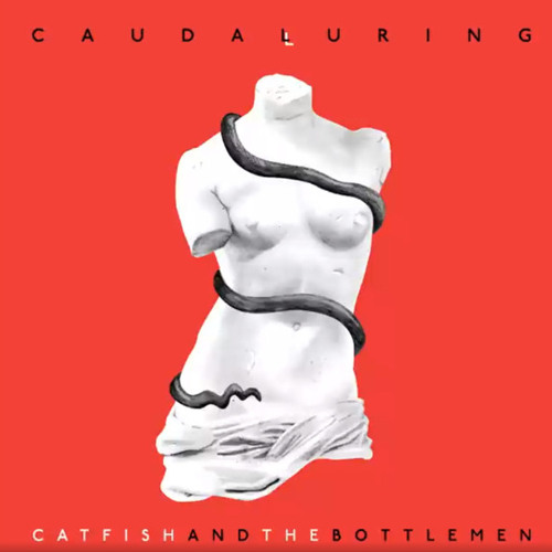 Stream Catfish And The Bottlemen — 13 Kimono by vanmccould