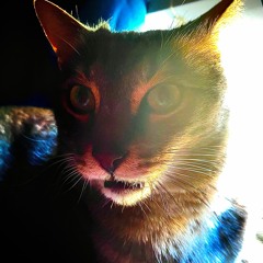 A Song for Someone Else (Instrumental)