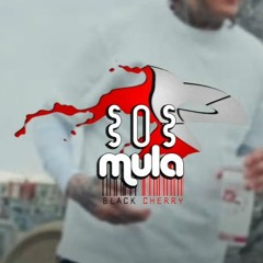 SosMula - Black Cherry (prod. Persona)