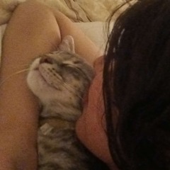 😽