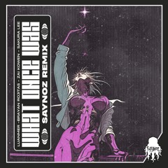 WHAT ONCE WAS (SAYNOZ REMIX)