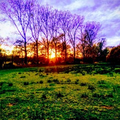 Atmospheric voyage into electronic music.