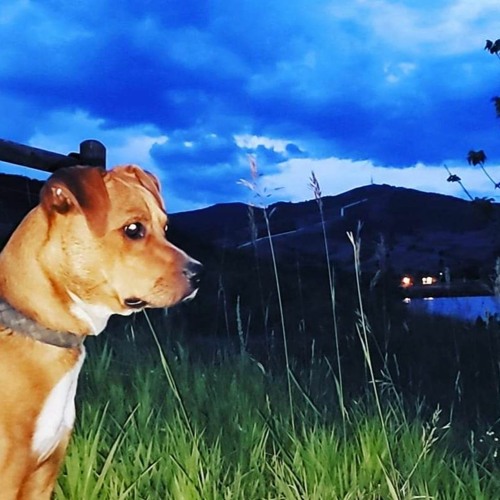 FALLIN' [addie gabby]