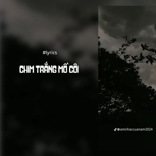 CHIM TRANG MO COI - MK X DAT LON
