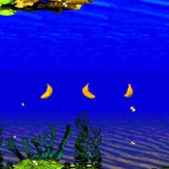 Aquatic Ambience Part 2