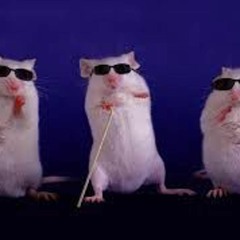 three blind mice (prod. yungspoiler)