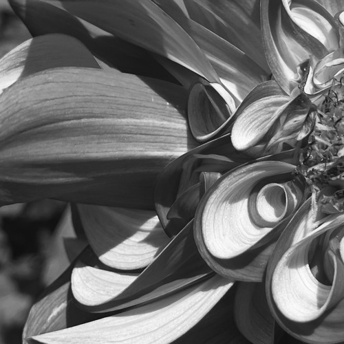 Another Product - EP