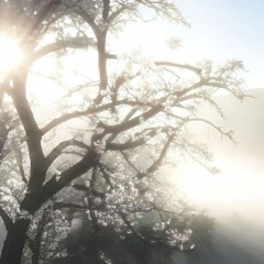 eu me sinto um fantasma