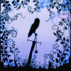 To Our Eyes, the Sky Was Open