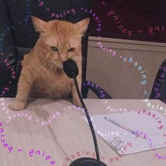 50 free & 50 style (good) - freestyle