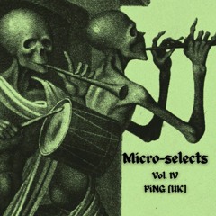 Microselects Vol. IV - PiNG (UK)