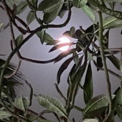 DES SALADES ET UN GRAIN DE SEL