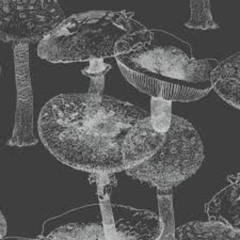 K9//GUENOUILLE - Dark Mushroom