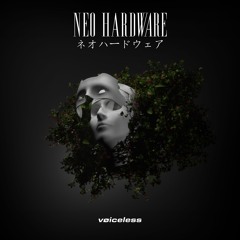 Neo Hardware