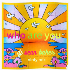DJ Sean Baker - Who Are You - The Vinyl Mix