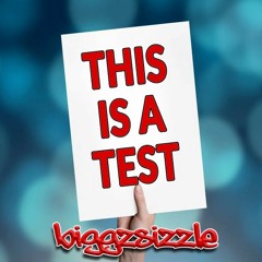 This Is A Test! By BiGGzSiZzLë