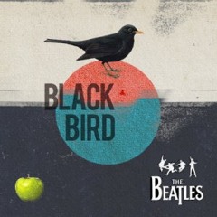 Blackbird (Ukulele cover)