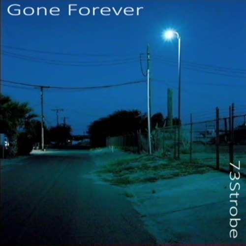 73Strobe - Gone Forever