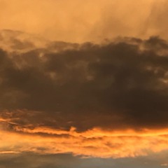 Find The Light