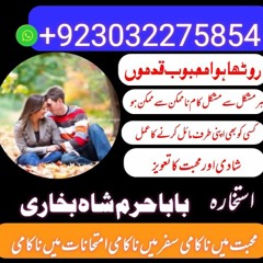 powerful no 1 baba best astrologer amil baba canada amil baba dubsi