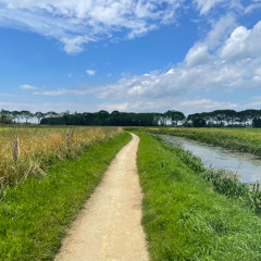 Walking, Lost and Found - stereo mix