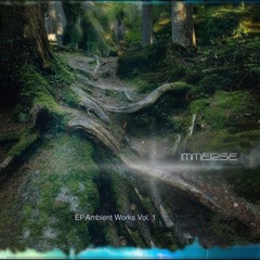 Ambience