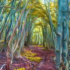 In The Woods