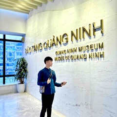 Music vietmix