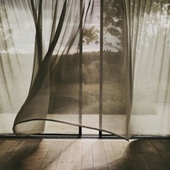 all day I dream.