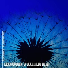 Injury Reserve - Jail Break The Tesla (Niceotope X COLLINS Flip)