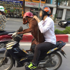 ĐẠI CẦY