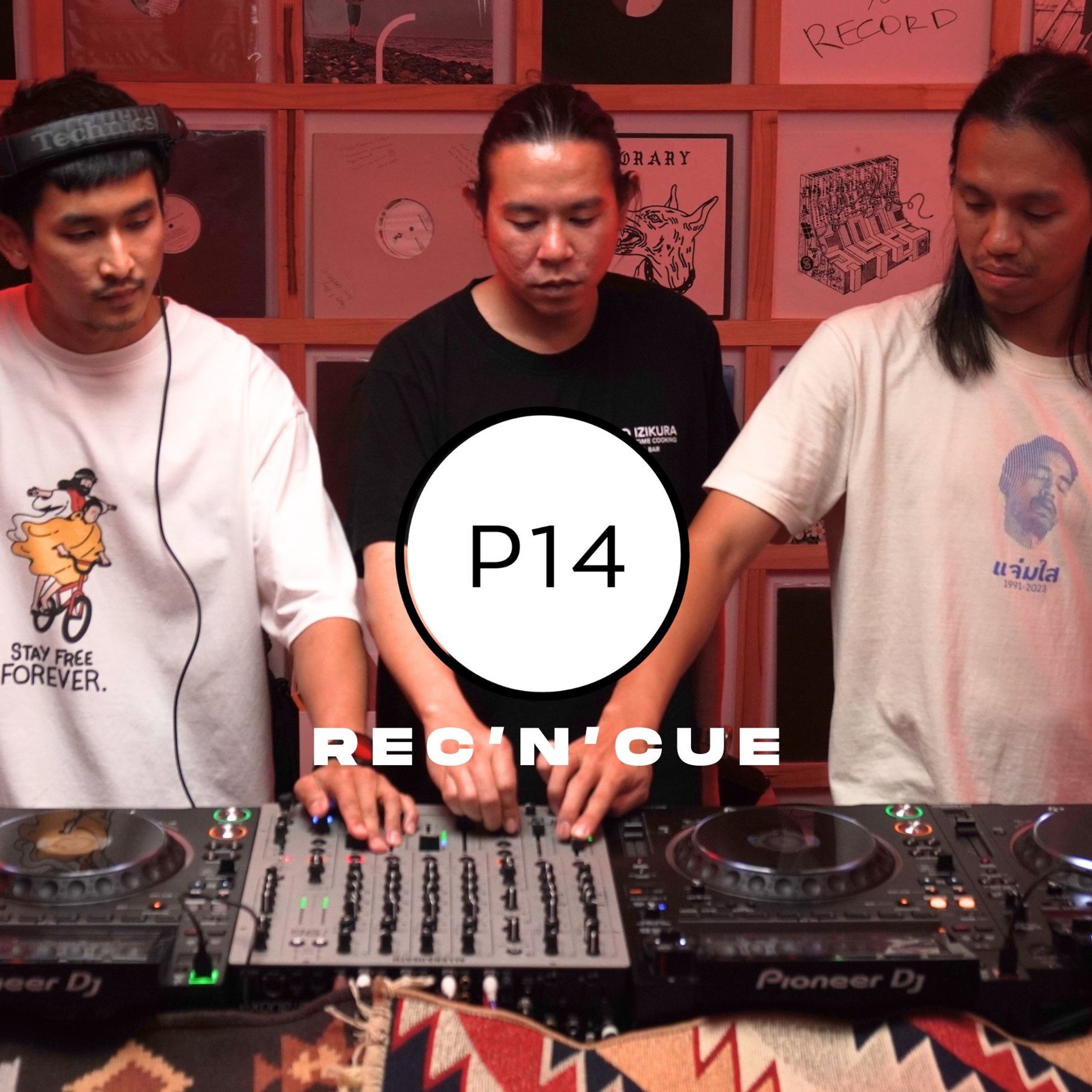 P14 video podcast