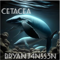 Cetacea