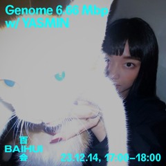 Genome 6.66 Mbp w/ Yasmin on Baihui Radio