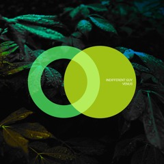 Indifferent Guy - Venus (Original Mix) [AREA VERDE] Progressive House Premiere