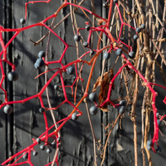 The Trilogy Tapes 101125