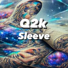 Q2k sleeve (freestyle)