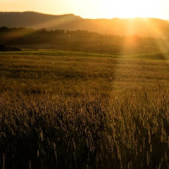 practice28~Smile in the sunset~