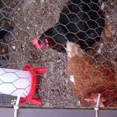 self control slow and reverb