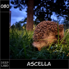 Deep Land - Ascella (Set 080)