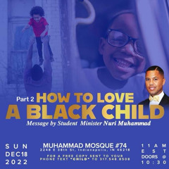 PART 2 HOW TO LOVE A BLACK CHILD