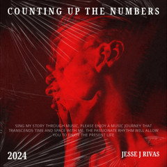 Counting Up the Numbers