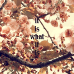 it is what it is