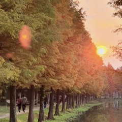 ❤️‍🩹(English)