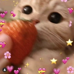 Benêt boi