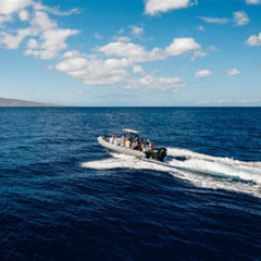 Best Kihei Boat Ramp Snorkel Tours Prices Reviews