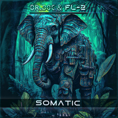Dr. Doc, FL-2 - Somatic