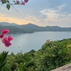 גל אדם - לא נחיה לנצח