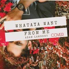 Whataya Want From Me - Adam Lambert(Cover)